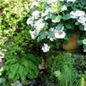 Meet your Posher, Kaisha